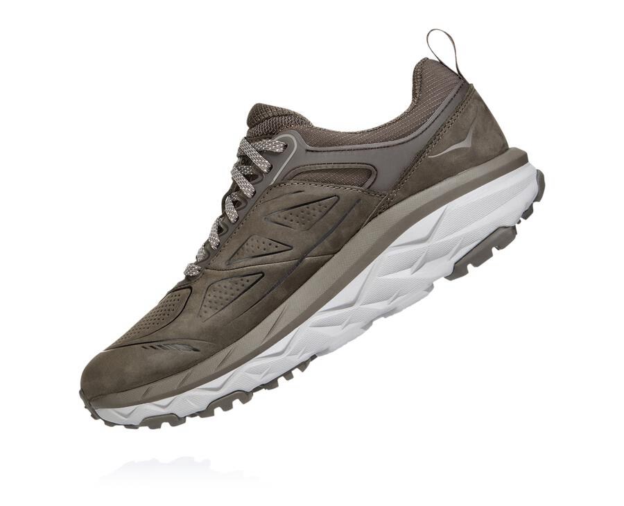 Hoka One One Challenger Låga Gore-Tex Trailskor Dam - Bröst - WNICX-6184